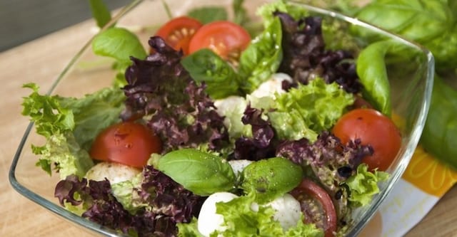 Garden Salad.